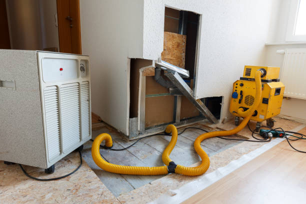 Best HVAC Mold Inspection and Cleaning  in Bogalusa, LA